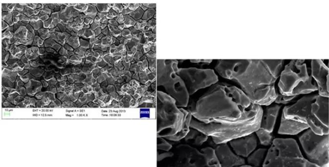 秀山秀山蔡司秀山扫描电镜
